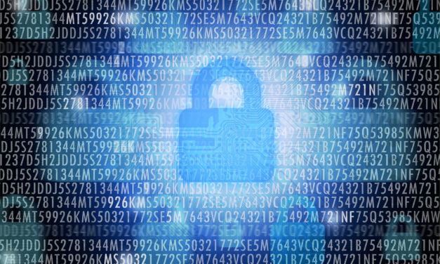 Ever Use Someone Else’s Password? Go to Jail, says the Ninth Circuit