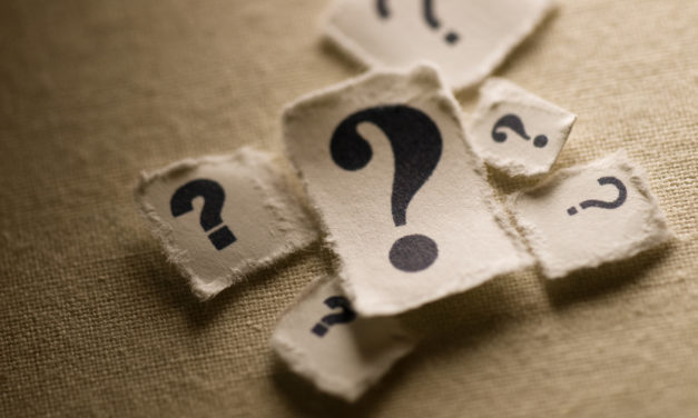 Questions for Sharon Bunzel